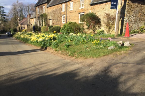 Springtime on The High Street